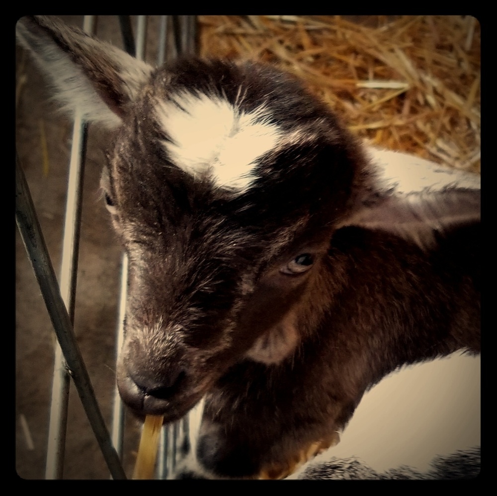 Meet your Posher, K